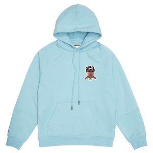 Avirex icon logo hoodie. Glacier Large 100% cotton. NWT Brand New